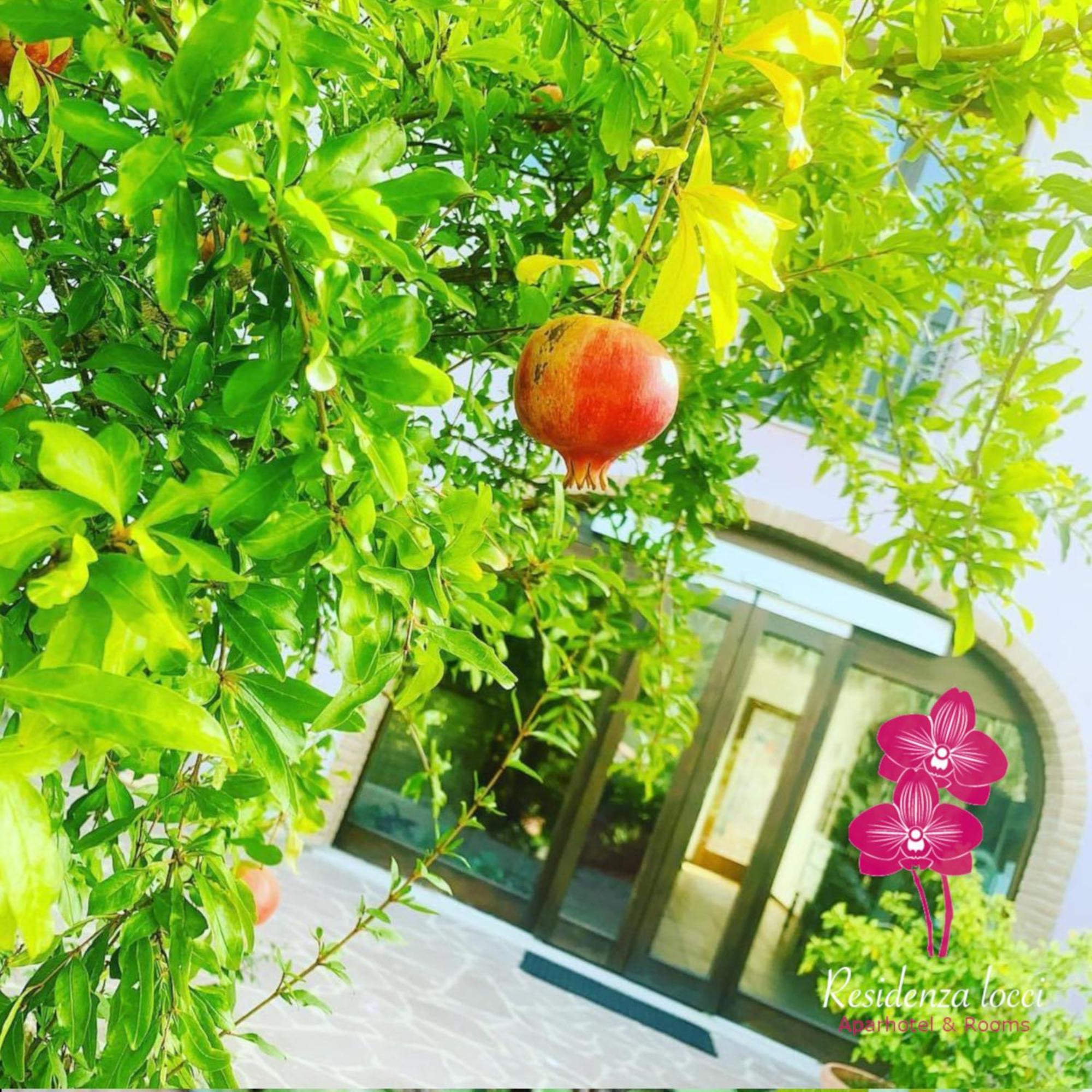 Residenza Locci - Aparthotel & Rooms Teulada Exterior foto